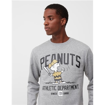 Peanuts' Sweatshirt, Men, Grey