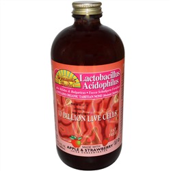 Dynamic Health  Laboratories, Lactobacillus Acidophilus, Apple Juice Concentrate & Strawberry Puree, 16 fl oz (473 ml)
