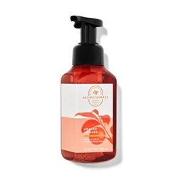 Orange Ginger Gentle & Clean Foaming Hand Soap