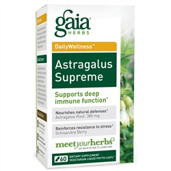 Gaia Herbs, DailyWellness, астрагал, 60 вегетарианских жидких фито-капсул