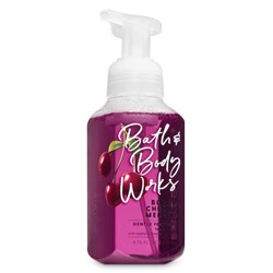 Black Cherry Merlot


Gentle Foaming Hand Soap