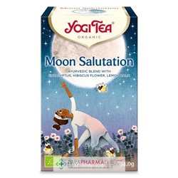 Yogi Tea Infusion Moon Salutation 17 sachets