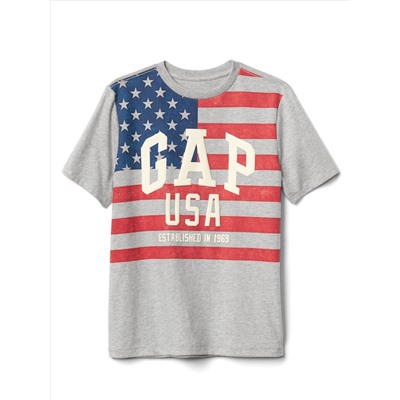 Flag and logo sueded tee