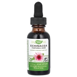 Nature's Way, Echinacea, 500 mg, 1 fl oz (30 ml)