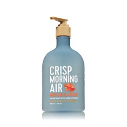 Crisp Morning Air


Hand Soap with Shea Extract