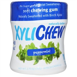 Xylichew Gum, Жевательная резинка, подслащенная березовым ксилитом, перечная мята, 60 штук, 2,75 унций (78 г)