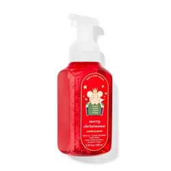 Cranberry Peach


Gentle & Clean Foaming Hand Soap