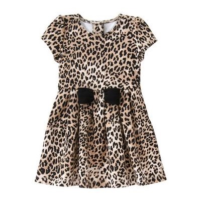 Leopard Print Dress