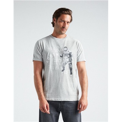 Print T-shirt, Men, Grey