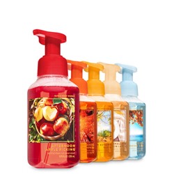 FALL TRADITIONS Gentle Foaming Hand Soap, 5-Pack