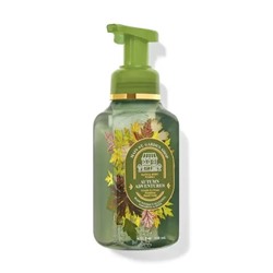 Autumn Adventures Gentle & Clean Foaming Hand Soap