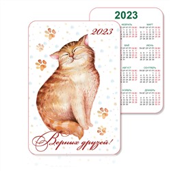 Календарик 2023. Котик символ года