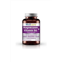 Wellcare Magnezyum+vitamin B6 Takviye Edici Gıda 30 Tablet WELL010274