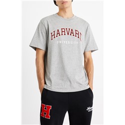 Camiseta Harvard Gris claro jaspeado