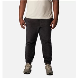 Men's Steens Mountain™ Pants - Big