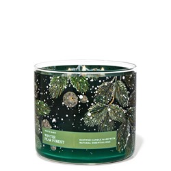 White Barn


Winter Pear Forest


3-Wick Candle