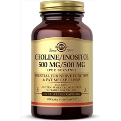 Solgar Choline & Inositol 500/500 Mg, Kolin Inositol Relax Mood Neurotransmitter Brain Health Energy Zihin cho