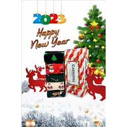 CARNAVAL SOCKS 5'li Yılbaşı Christmas Desenli Renkli Hediye Çorap Kutusu SET5-1000