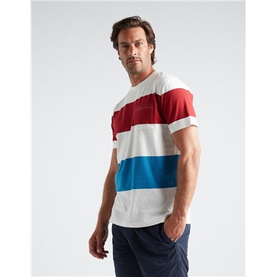 Striped T-shirt, Men, Multicolour