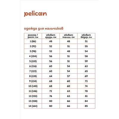 Шорты PELICAN #971496