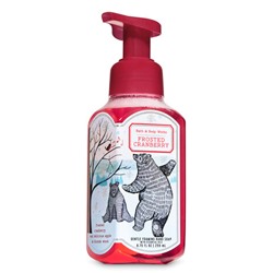 Frosted Cranberry


Gentle Foaming Hand Soap
