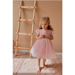 penu baby kids Pembe Kısa Balon Tül Kol Detaylı Tütülü Kız Bebek Elbise - Cinderella kısatülkol