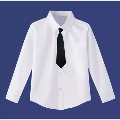 Рубашка с длинным рукавом и галстуком
