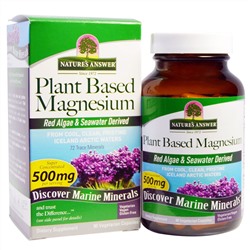 Nature's Answer, Растительный магний, 500 мг, 90 вегетарианских капсул