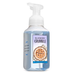 BLUEBERRY CRUMBLE Gentle Foaming Hand Soap