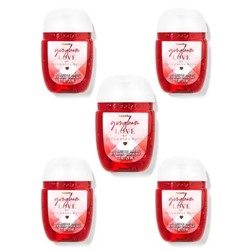 GINGHAM LOVE PocketBac Hand Sanitizers, 5-Pack