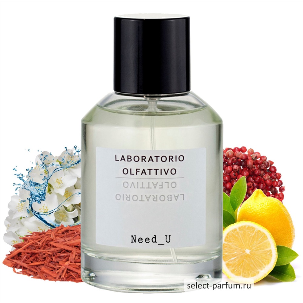 LABORATORIO OLFATTIVO NEED_U edp 2ml пробник купить, отзывы, фото