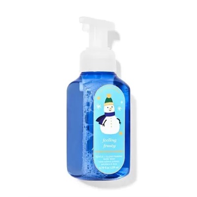 Frosted Coconut Snowball


Gentle & Clean Foaming Hand Soap