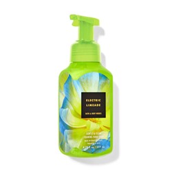 Electric Limeade Gentle & Clean Foaming Hand Soap