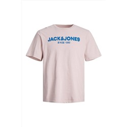 Jack & Jones Jack Jones Snorkle Tee Ss Crew Neck Fst Erkek Mor Tshirt 12238844-19